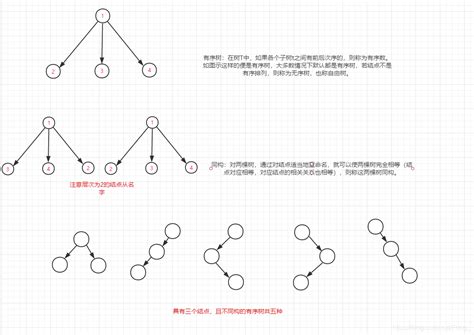 【数据结构初阶】二叉树_用二叉树完成每位同学身高加1-CSDN博客