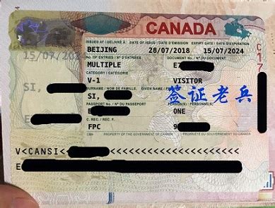 全家一起申请加拿大旅游签证拒签了，有必要分开再签吗? | 签证老兵