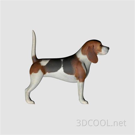 狗 3D模型 免费下载 - 3DCOOL 3D酷站