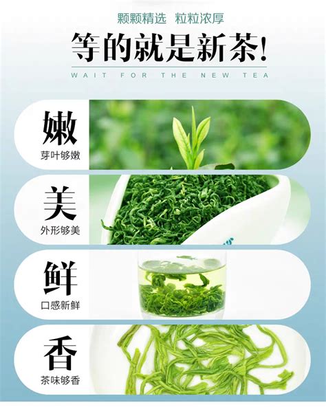 贵州迎来2021年绿茶“第一采”