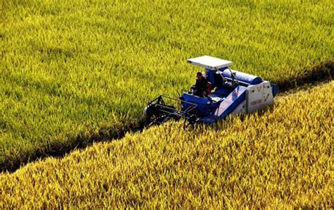 全国“三夏” 小麦大规模农机收割基本结束-行业新闻--苏美达集团