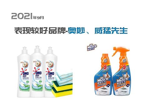 2021年9月清洁洗涤品牌销售分析 | 中华全国商业信息中心