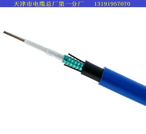 七台河WDZC-YJV22电缆2X120_HYAT23电缆_天津市电缆总厂第一分厂