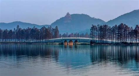武汉东湖樱花园风光高清图片下载-正版图片501664783-摄图网