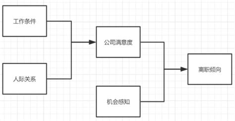 结构方程模型SEM、路径分析房价和犯罪率数据、预测智力影响因素可视化2案例(线性模型,tecdat) - AI牛丝