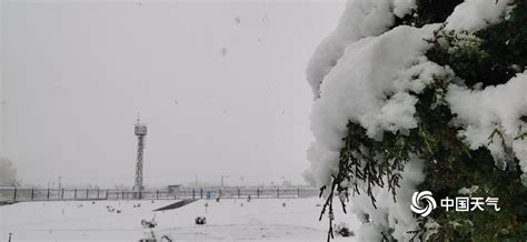 东北多地出现暴雪天气 - 国内动态 - 华声新闻 - 华声在线