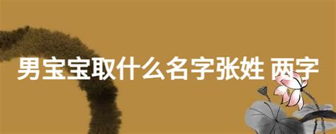 男宝宝取什么名字张姓 两字_起名问答-美名宝起名网