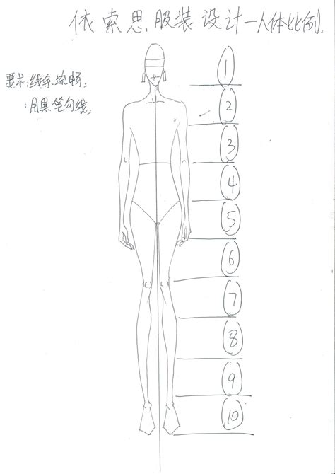 人体比例标准图图片