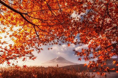 【綺麗!秋の風物詩】京都の人気紅葉スポット【名所・穴場】