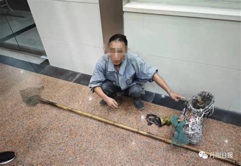江苏丹阳一男子抓28只青蛙被罚14000元