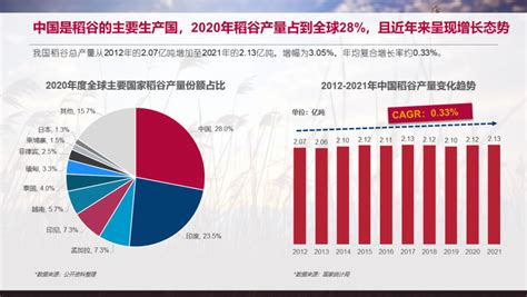 博晓通：2022年中国大米产业市场前景分析报告 | 先导研报