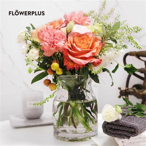 FLOWERPLUS花+ 繁花 混合鲜花包月 鲜花速递 每周一花 包月鲜花_慢享旅行