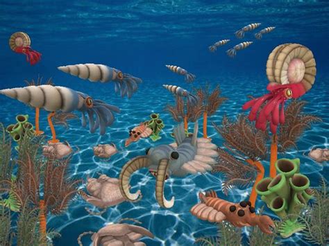 地球生命史上的悬案：寒武纪生物大爆发，生命物种为何爆发般出现