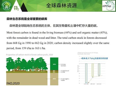 中国碳达峰碳中和时间表与路线图 - 西部碳中和新能源 官网