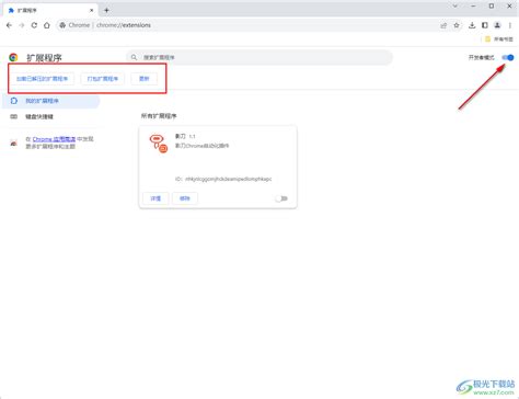 Chrome浏览器如何开启开发者模式？-Google Chrome浏览器打开开发者模式的方法 - 极光下载站