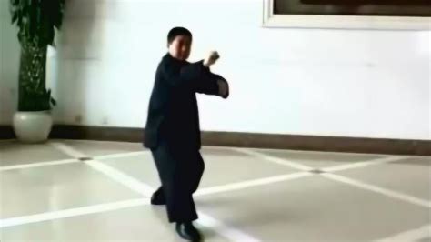 太极拳传人傅清泉28式杨式太极拳，真正的杨氏太极拳高手！_腾讯视频
