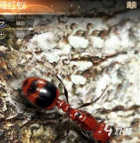 蚂蚁进化无敌版3D -蚂蚁进化无敌版下载链接最新版 - 醒游网