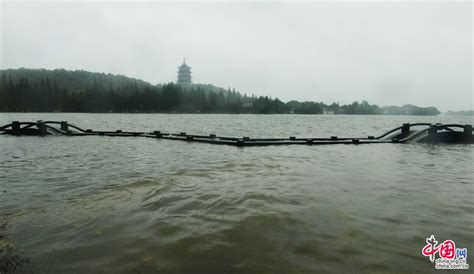 暴雨来袭 提前腾库抢先机 ——记重庆“6.17”暴雨天气过程气象服务