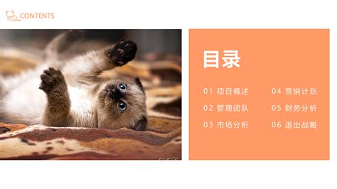 创业策划书：宠物店PPT模板下载_编号lvvexyej_熊猫办公