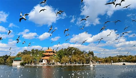 云南改名最成功的旅游城市，每年都吸引数百上千万的中外游客