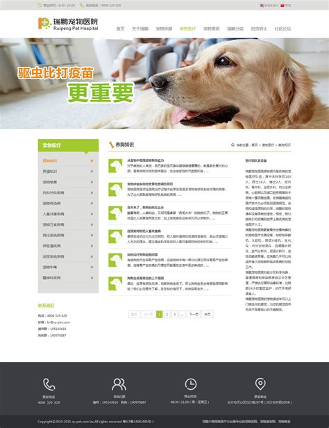 宠物网站|网页|企业官网|杨宏松 - 原创作品 - 站酷 (ZCOOL)