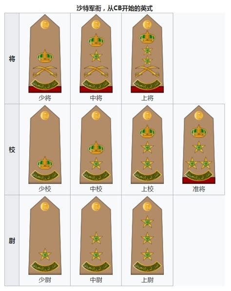 越南军队最高军衔是什么 海、陆、空司令员分别是谁|军衔|越军|越南_新浪新闻