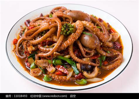 美味菜品爆头八爪鱼高清图片下载_红动中国