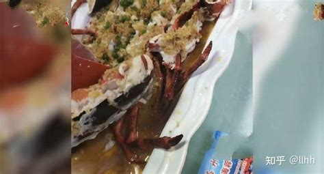 【清蒸小青龙虾的做法步骤图，怎么做好吃】胖鼠家_下厨房