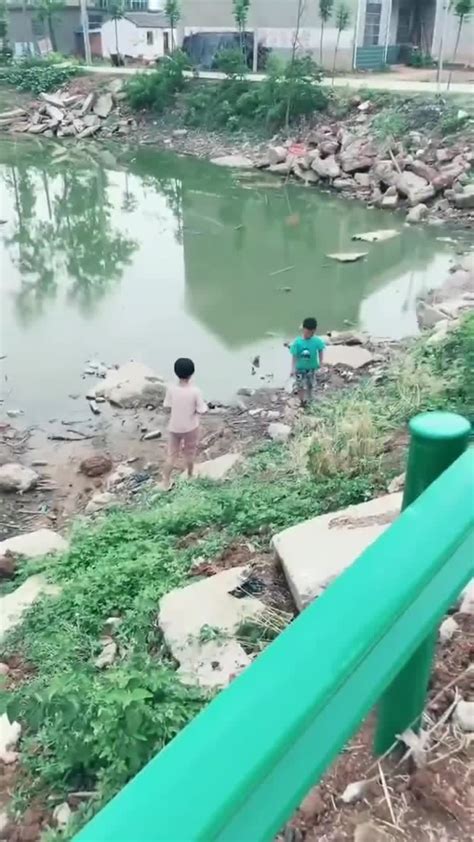 小孩子在池塘边玩耍很危险，看到后一定要制止他们，安全第一_腾讯视频