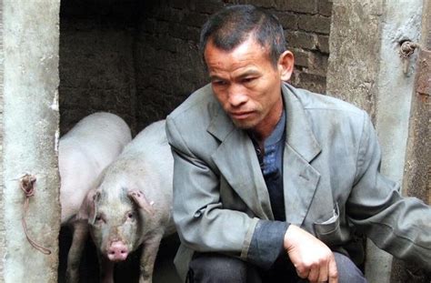 猪价大跌!今日猪价行情最新生猪价格表 10月11日猪肉价格多少钱一斤 - 中国基因网