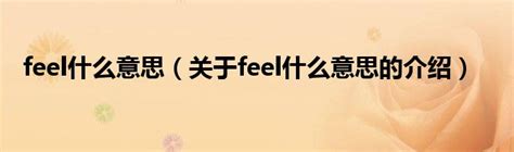 feel什么意思（关于feel什么意思的介绍）_华夏文化传播网
