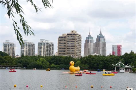 周末又添好去处！上海这些公园建成开放，看看有你家附近的吗? -上海市文旅推广网-上海市文化和旅游局 提供专业文化和旅游及会展信息资讯