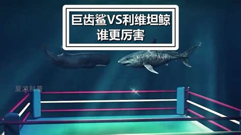 利维坦鲸vs巨齿鲨，谁将是这场史诗般战斗的最终赢家？