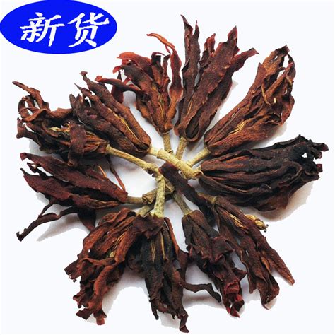 肾兰花图片