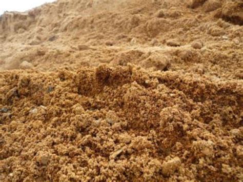 沙子也能变成土壤？中国科学家发明黑科技，全球多国上门求购技术__财经头条