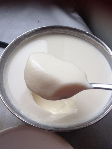 自制酸奶的做法_【图解】自制酸奶怎么做如何做好吃_自制酸奶家常做法大全_飞飞942_豆果美食