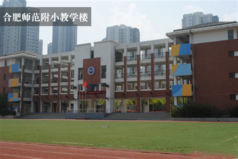 2021年安徽省合肥市小学排名top10|路小学|合肥市|小学_新浪新闻