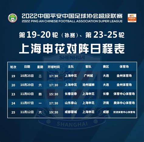 [中超联赛]上海申花2-1山东泰山_新浪图片