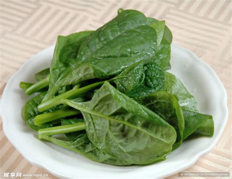 hell菜菜图片
