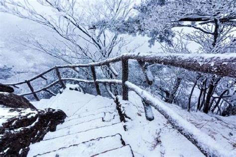 冬季黄山观日出、日落、云海的概率_摄影资讯_国际旅游摄影网