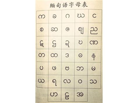 DynaFont多国语字体──华康逸黑体 （缅甸文） | 华康字型