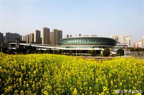 中国地质大学（武汉）新校区正式启用