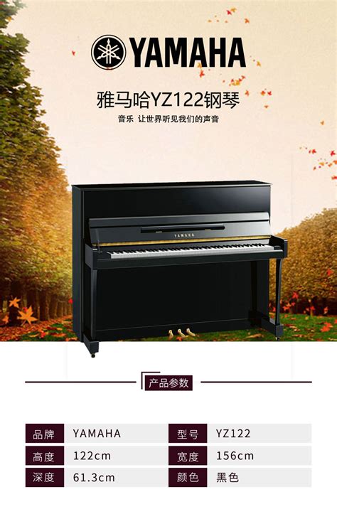 珠江高雅·TN系列 TN2_重庆琴行,重庆卡瓦伊钢琴,钢琴行专卖店-重庆智商音体用品有限公司