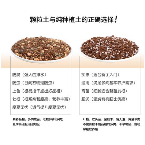 玉树老桩的养殖方法-种植技术-中国花木网