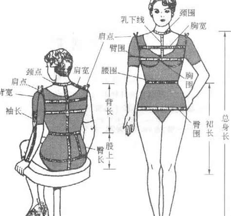 三围怎么测量才标准图解（你还在瞎减肥？男女标准体重三维对照表拿走不谢！） | 说明书网