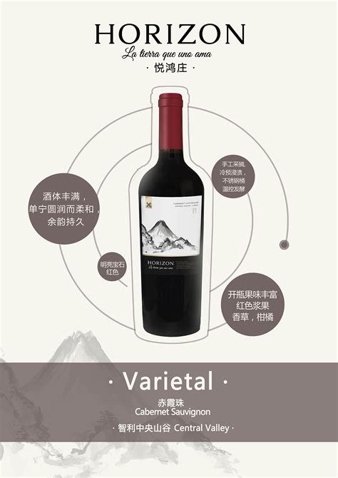 红酒品牌 标志设计案例|平面|标志|Sunowy冬雪 - 原创作品 - 站酷 (ZCOOL)