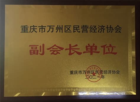 重庆市万州区民营经济协会副会长单位-资质荣誉