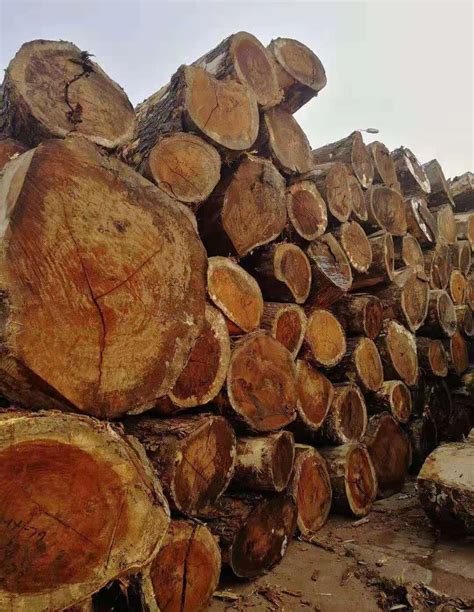 收官月木材市场略有复苏迹象，全国许多地方价格上涨