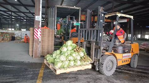 保供应，崇明日供蔬菜500吨！两天内，这个合作社将3000份蔬菜紧急直送市区封控小区 - 周到上海