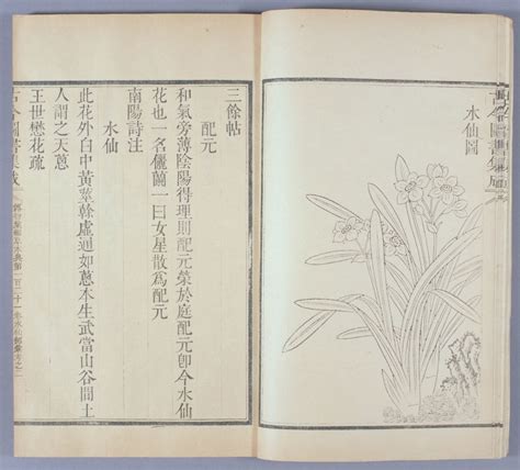 钦定古今图书集成图片